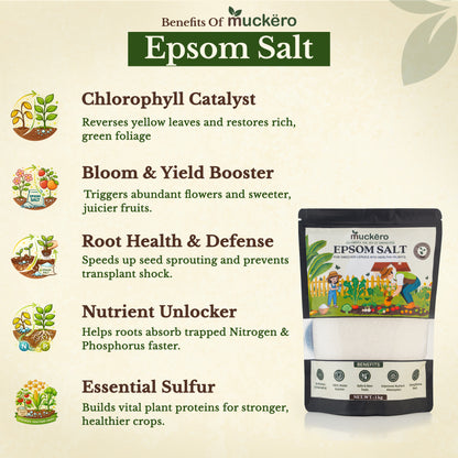 Epsom Salt