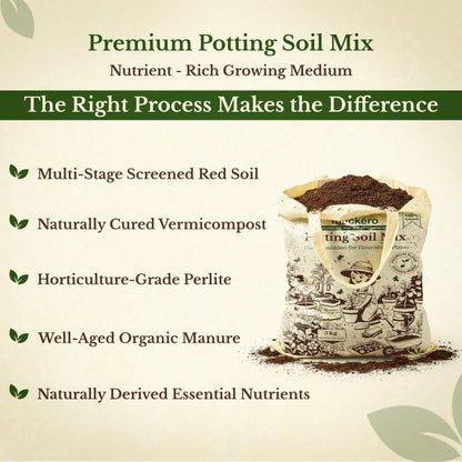 Potting Soil Mix