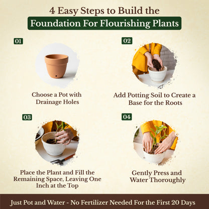 Potting Soil Mix