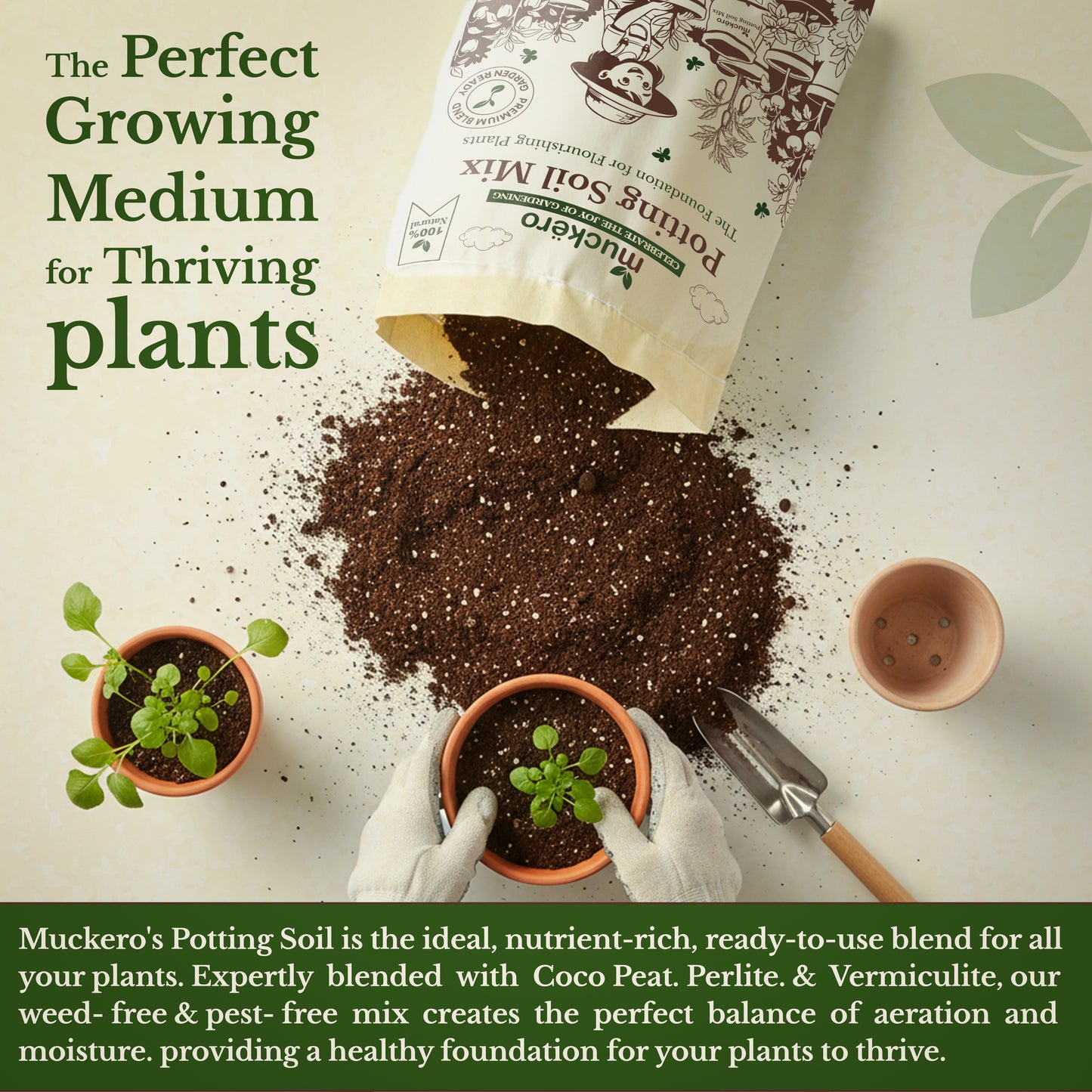 Potting Soil Mix