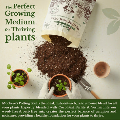 Potting Soil Mix
